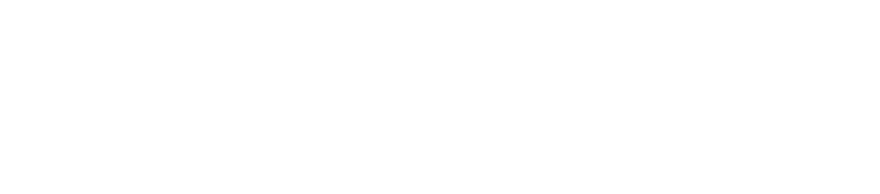 Veracity Logo